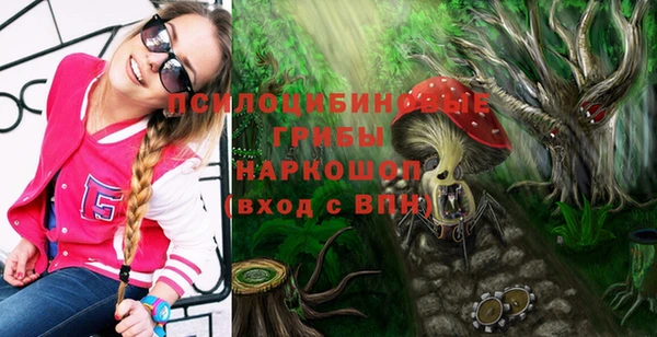 PSILOCYBIN Сосновка