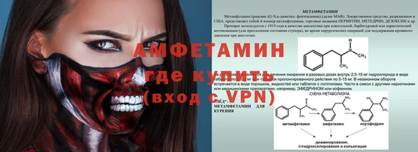 бошки Белокуриха