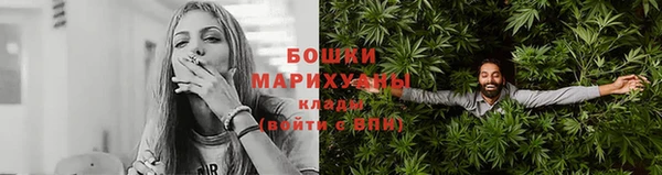 индика Беломорск