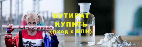 индика Беломорск