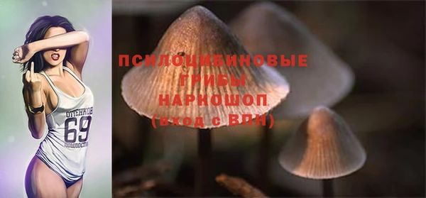индика Беломорск