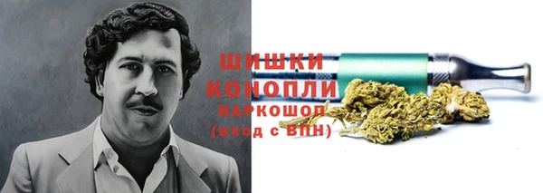 бошки Белокуриха