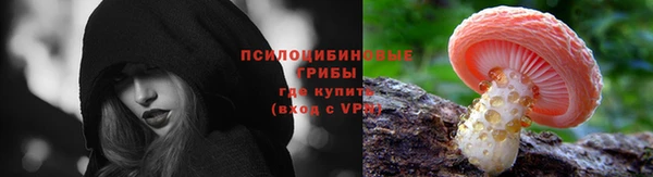 бошки Белокуриха