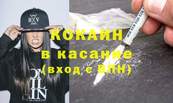 индика Беломорск