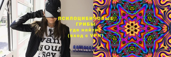индика Беломорск