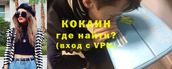 индика Беломорск
