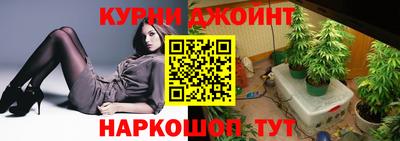 СК Краснознаменск
