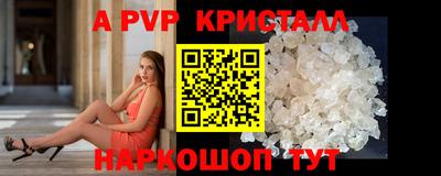 СК Краснознаменск