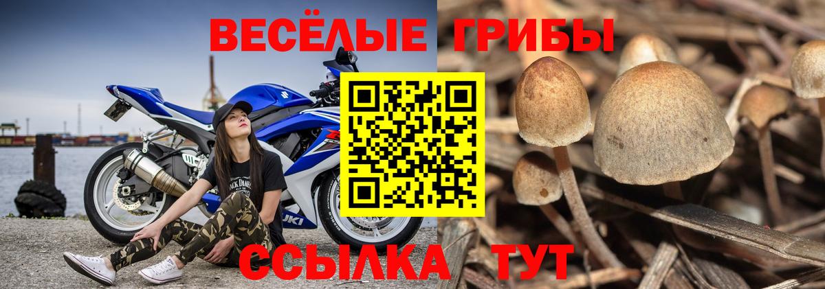 Псилоцибиновые грибы мухоморы  Вход с VPN  Кузнецк 